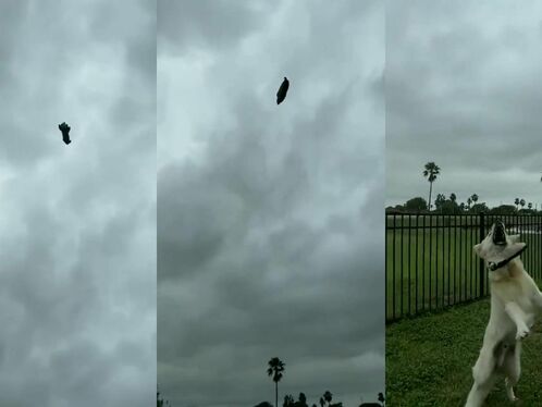 Star Trek Movies Just Released