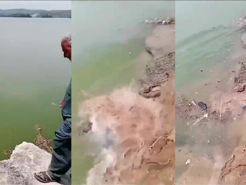 Great Place For Taking Photos