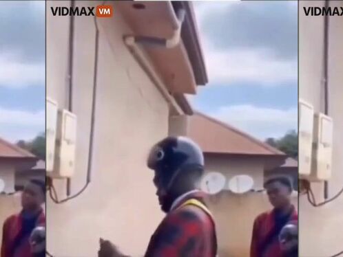 Hey, I Want To Know What His IQ Is.