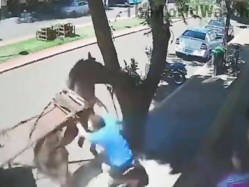 The Horse Picks A Man Up From His Daydream