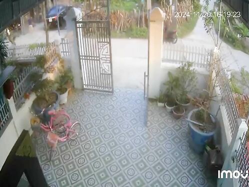 Bull Attacks Cyclist