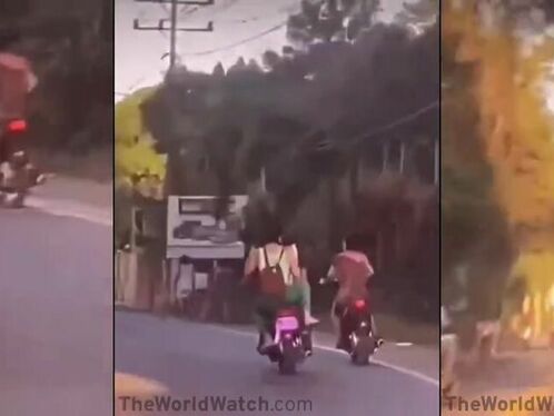 Transferring Karma From One Girl To Another Very Quickly