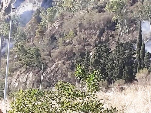 Campfire Near The House