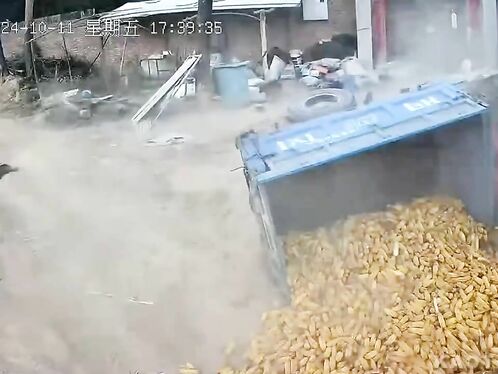 Itâ€™s All About Corn