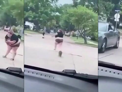 Little Badger VS Fat Woman