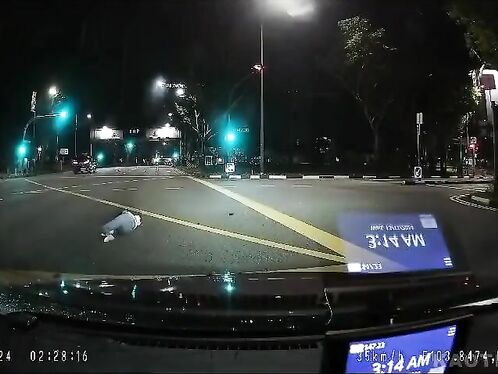 Using The Phone And Parking Violations â€“ A Good Combination