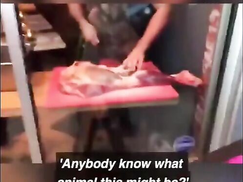 Local Chef Sets Up Shop In Store Window Ahead Of Vegan Protest