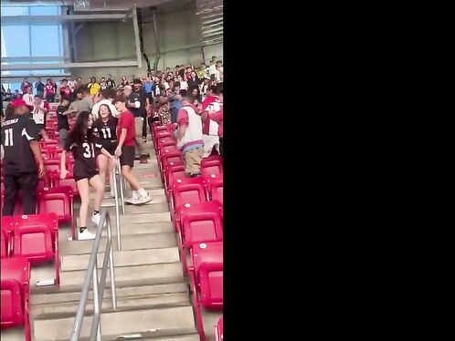 Fan Brawl Breaks Out During Cardinals-Commanders Game