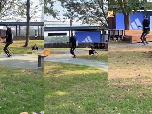 Human Robot Walking His Robot Dog