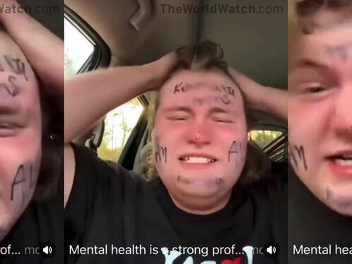 Beta Male Breakdown Is My Favorite