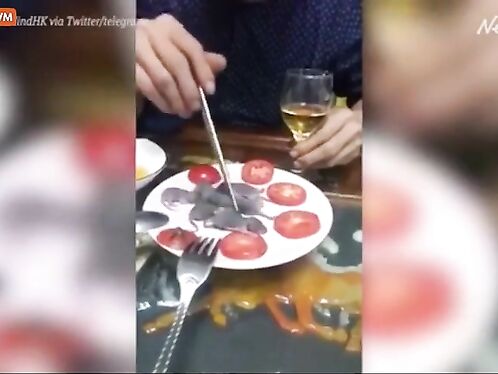 I Wonder Why So Many Terrible Viruses Come From China