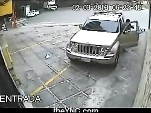 Thief Shot Dead While Stealing Car