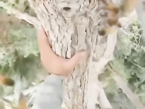 They're Not Even Bees