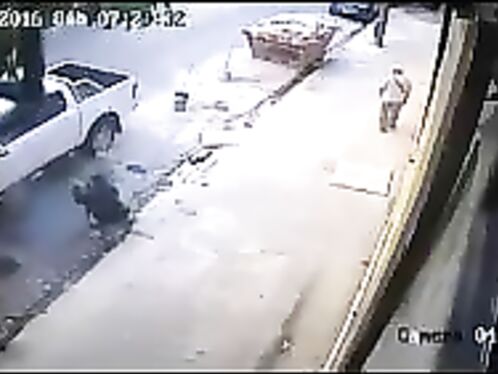 Instant Karma For The Robber