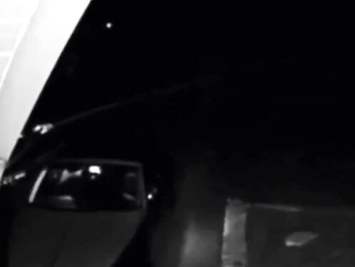 Undertake Litigation Insurance Fraud