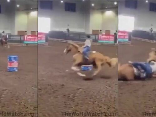 Blonde Loses Her Pants When Horse Fights Back