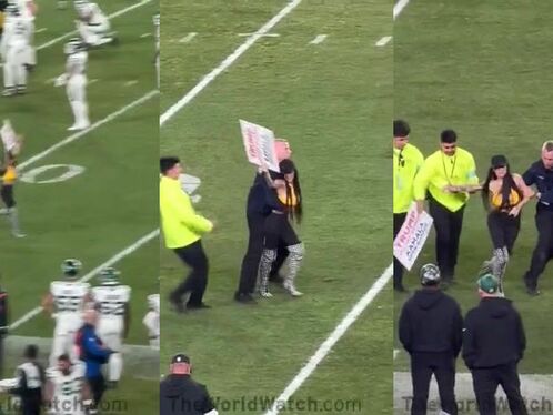 Hot Busty Woman Interrupts Steelers Game