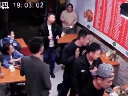 Stray Cat Falls From Ceiling, Scares Restaurant Patrons