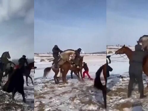 If The Horse Wants To Play, You Better Walk Away