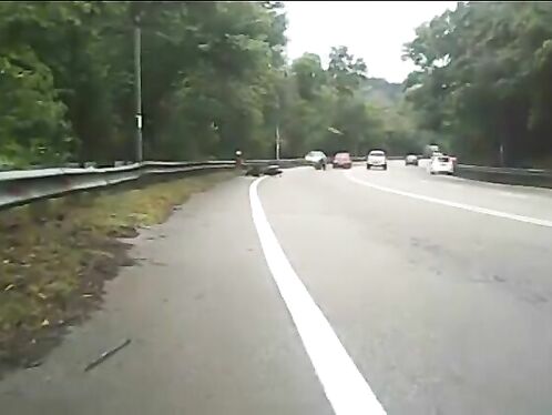 Falling Branches Version