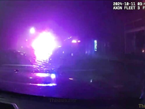 Seattle Police Arrest Man In Dinosaur Costume For Burglary