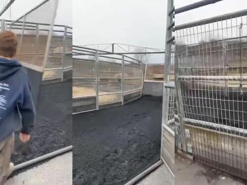 This Huge Device Is Used To Train Horses