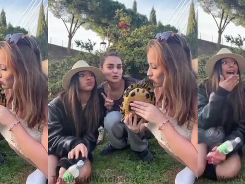 Cool Selfies With Turtles Aren't So Cool After All
