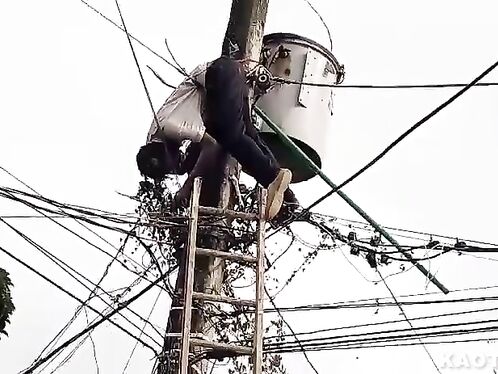 Another Power Cable Victim In India
