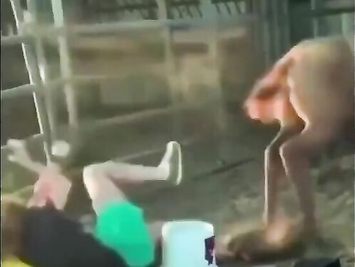 I'm Just Posting This For A Laugh On Christmas Morning