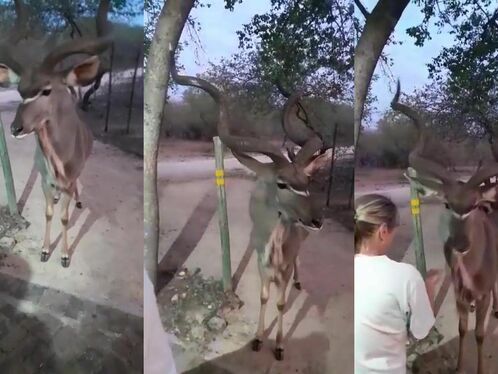 When Do People Learn?