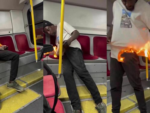 Using Public Transportation Is Always A Pleasure