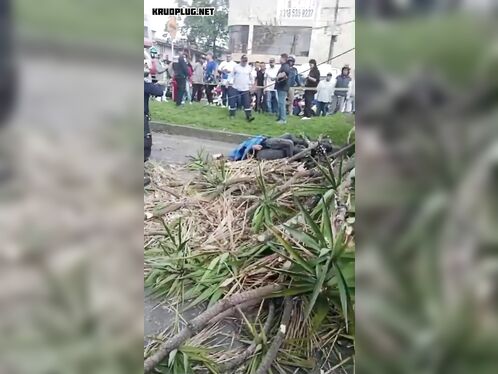 Motorcyclist Crushed To Death By Falling Tree