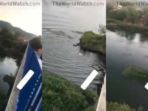 A Group Of People Walking Found A Man Jumping From A Bridge And Died