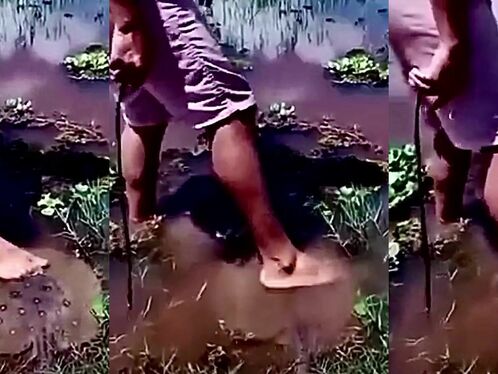 Don't Play With Animals