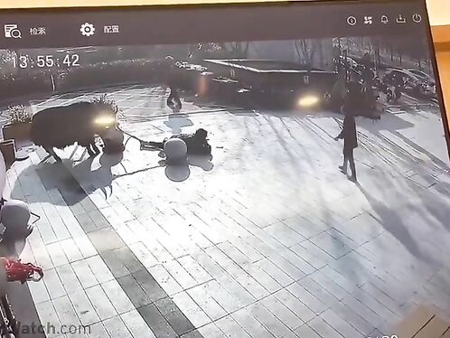 Innocent Girl Gets Too Close To A Huge Bull