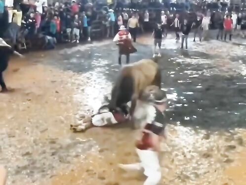 The Bull And The Stupid Man Play Rag Dolls