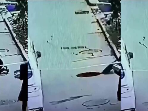 New Christmas Firecrackers Receive Rave Reviews