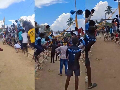 Running With The Sacred Bull