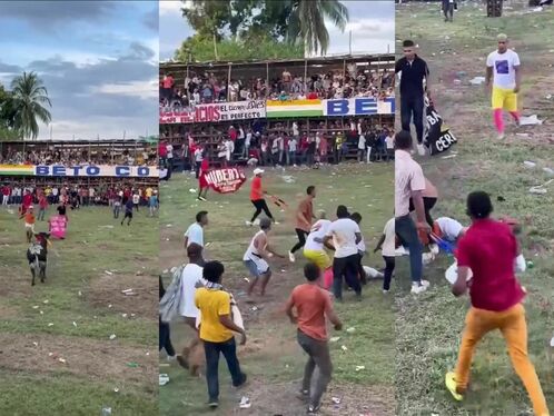 An Idiot Can't Last A Second Against A Bull.