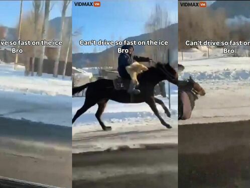 My Brother Rides His Horse Like A Bat Out Of Hell