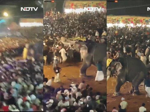 Elephants Go On Rampage During Indian Festival