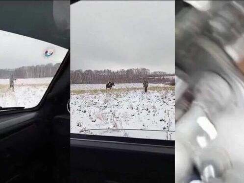 The Hunter Becomes The Hunted