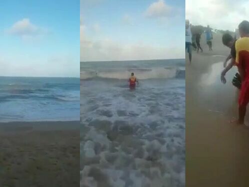 Shark Attack In Brazil