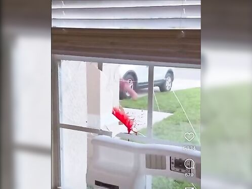 This Is Why You Should Never Bang On Windows Out Of Anger