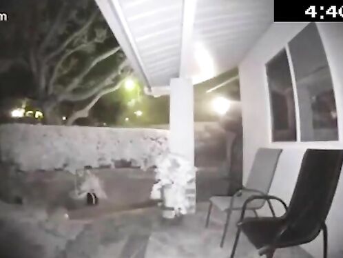 90 Mph In Residential Area At Night