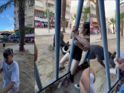 Chick Almost Raped By Bull