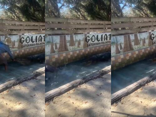 Go Look Around The Fucking Place