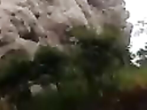 Indonesia's Semeru Volcano Erupts, Spewing Ash