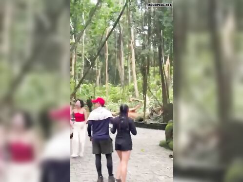 Fallen Tree Kills Two Tourists