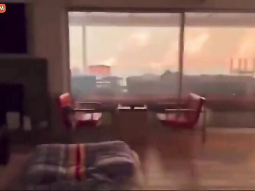 Wild Video, Pure Nightmare Material, Features Two Men And A Dog